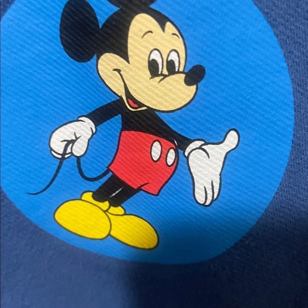 Walt Disney World 50th vault collection crop sweatpants size large